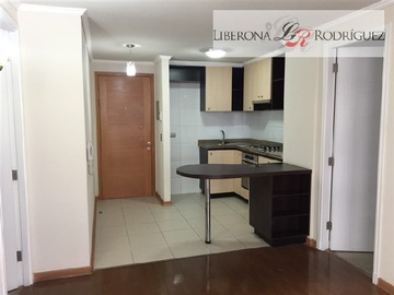 Arriendo Mensual / Departamento / Viña del Mar