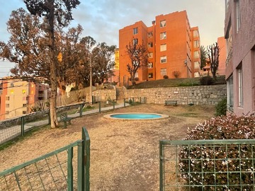Imagen 5