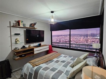 Imagen 19