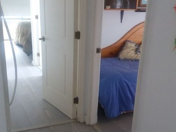 Imagen 6