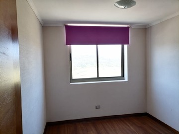 Imagen 12