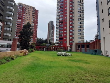 Imagen 26