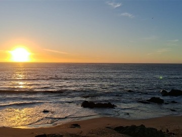Arriendo Mensual / Departamento / Viña del Mar