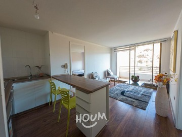 Arriendo Mensual / Departamento / Viña del Mar