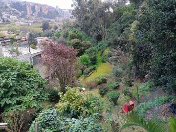 Imagen 39