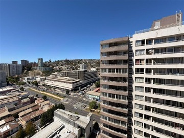 Arriendo Mensual / Departamento / Viña del Mar