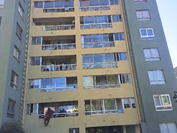 Arriendo Mensual / Departamento / Viña del Mar