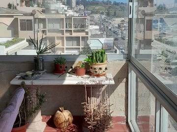 Imagen 12