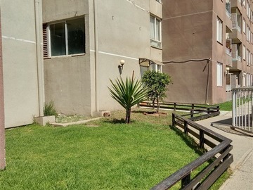 Imagen 19