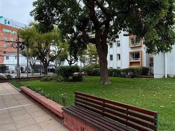 Imagen 12