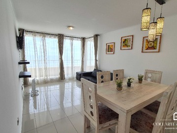 Arriendo Mensual / Departamento / Viña del Mar