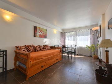 Arriendo Mensual / Departamento / Viña del Mar