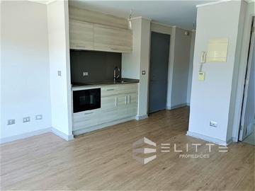 Arriendo Mensual / Departamento / Viña del Mar