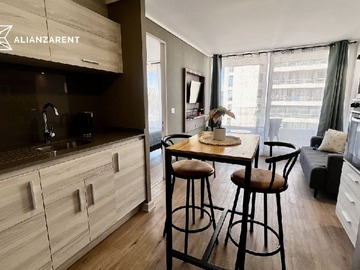 Arriendo Mensual / Departamento / Viña del Mar