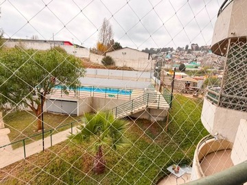 Imagen 6