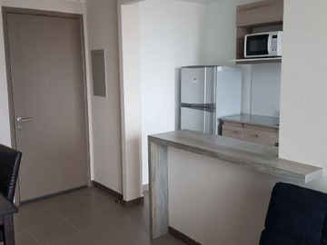 Arriendo Mensual / Departamento / Viña del Mar