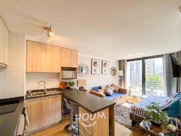 Arriendo Mensual / Departamento / Viña del Mar