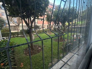 Imagen 16