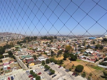 Imagen 5