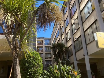 Arriendo Mensual / Departamento / Viña del Mar