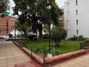 Imagen 13