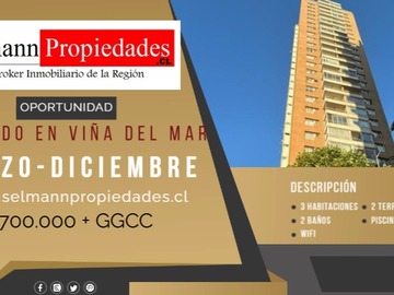 Arriendo Mensual / Departamento / Viña del Mar