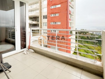 Imagen 15