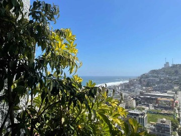 Arriendo Mensual / Departamento / Viña del Mar