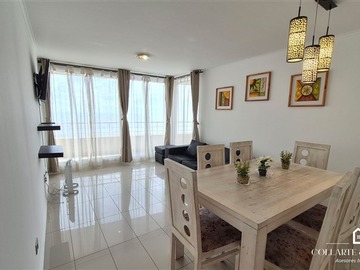 Arriendo Mensual / Departamento / Viña del Mar