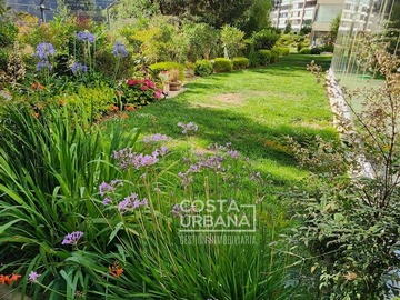 Arriendo Mensual / Departamento / Viña del Mar