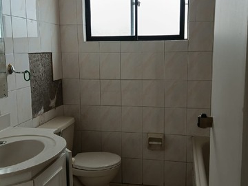 Imagen 6