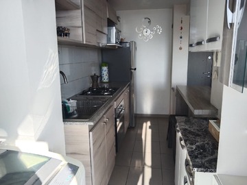 Arriendo Mensual / Departamento / Viña del Mar