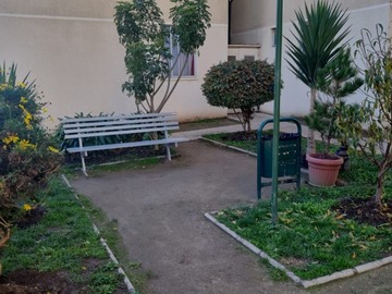 Imagen 8