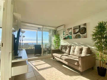 Arriendo Mensual / Departamento / Viña del Mar