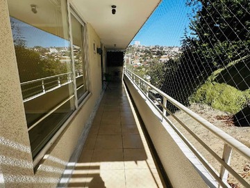 Imagen 15