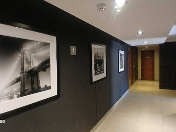 Arriendo Mensual / Departamento / Viña del Mar