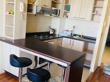 Arriendo Mensual / Departamento / Viña del Mar