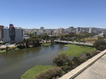 Arriendo Mensual / Departamento / Viña del Mar