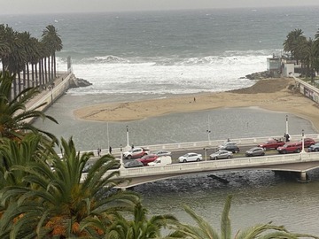 Arriendo Mensual / Departamento / Viña del Mar