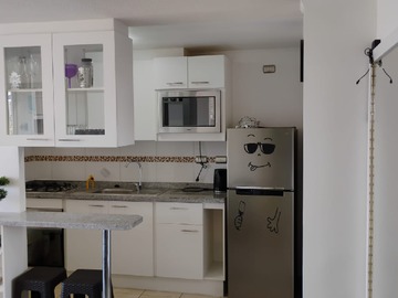 Arriendo Mensual / Departamento / Viña del Mar