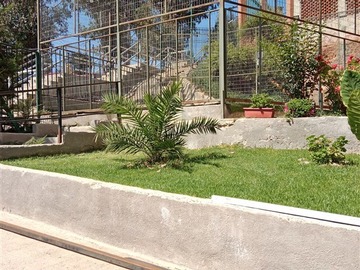 Imagen 20