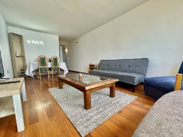 Arriendo Mensual / Departamento / Viña del Mar