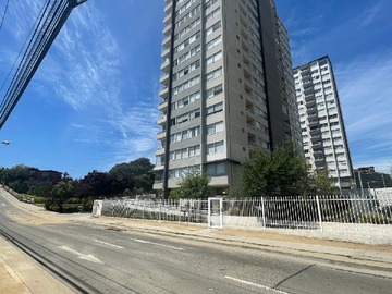Arriendo Mensual / Departamento / Viña del Mar