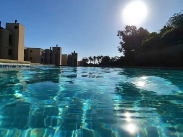 Arriendo Mensual / Departamento / Viña del Mar