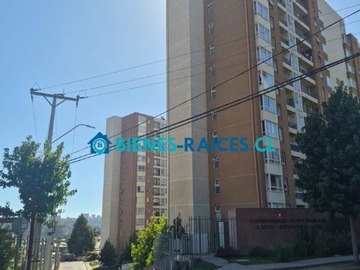 Arriendo Mensual / Departamento / Viña del Mar