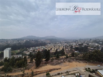 Imagen 23