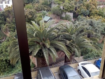 Arriendo Mensual / Departamento / Viña del Mar