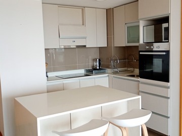 Arriendo Mensual / Departamento / Viña del Mar