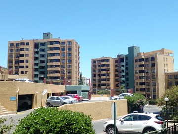 Arriendo Mensual / Departamento / Viña del Mar