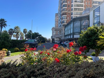 Arriendo Mensual / Departamento / Viña del Mar